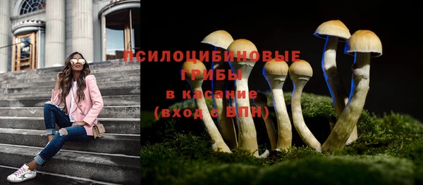 прущая мука Нягань