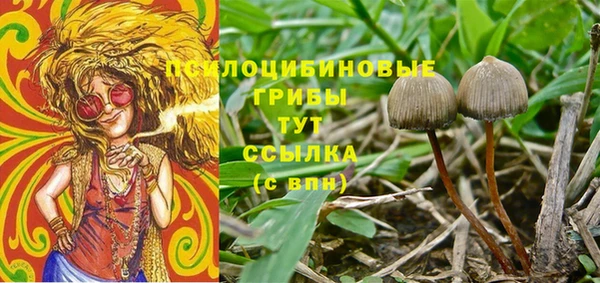 ALPHA PVP Няндома