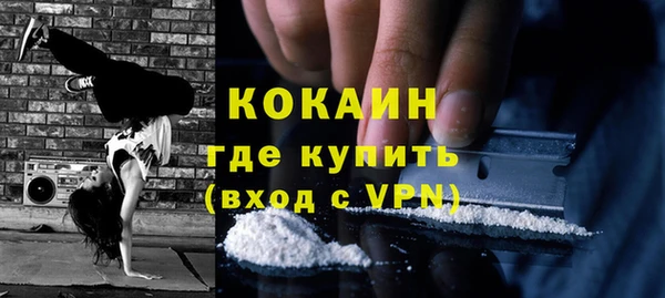 ALPHA PVP Няндома