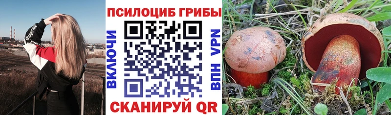 Псилоцибиновые грибы мухоморы  Купить  Ишим 