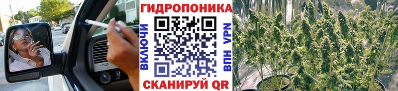 Шишки марихуана конопля  Купить закладки  Ишим 